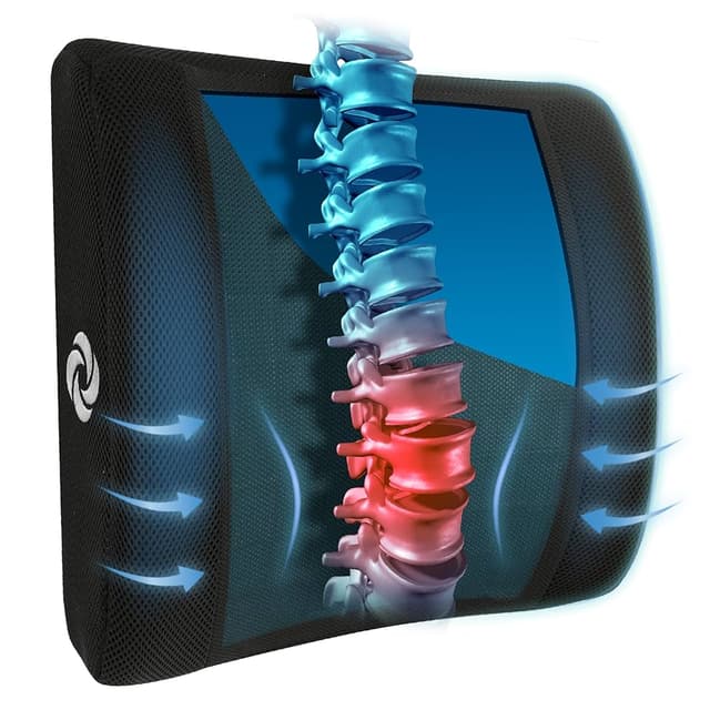SAMSONITE Lumbar Support Pillow For Office Chair and Car Seat